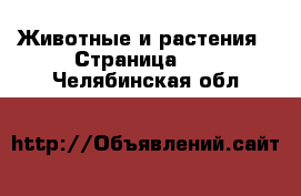  Животные и растения - Страница 45 . Челябинская обл.